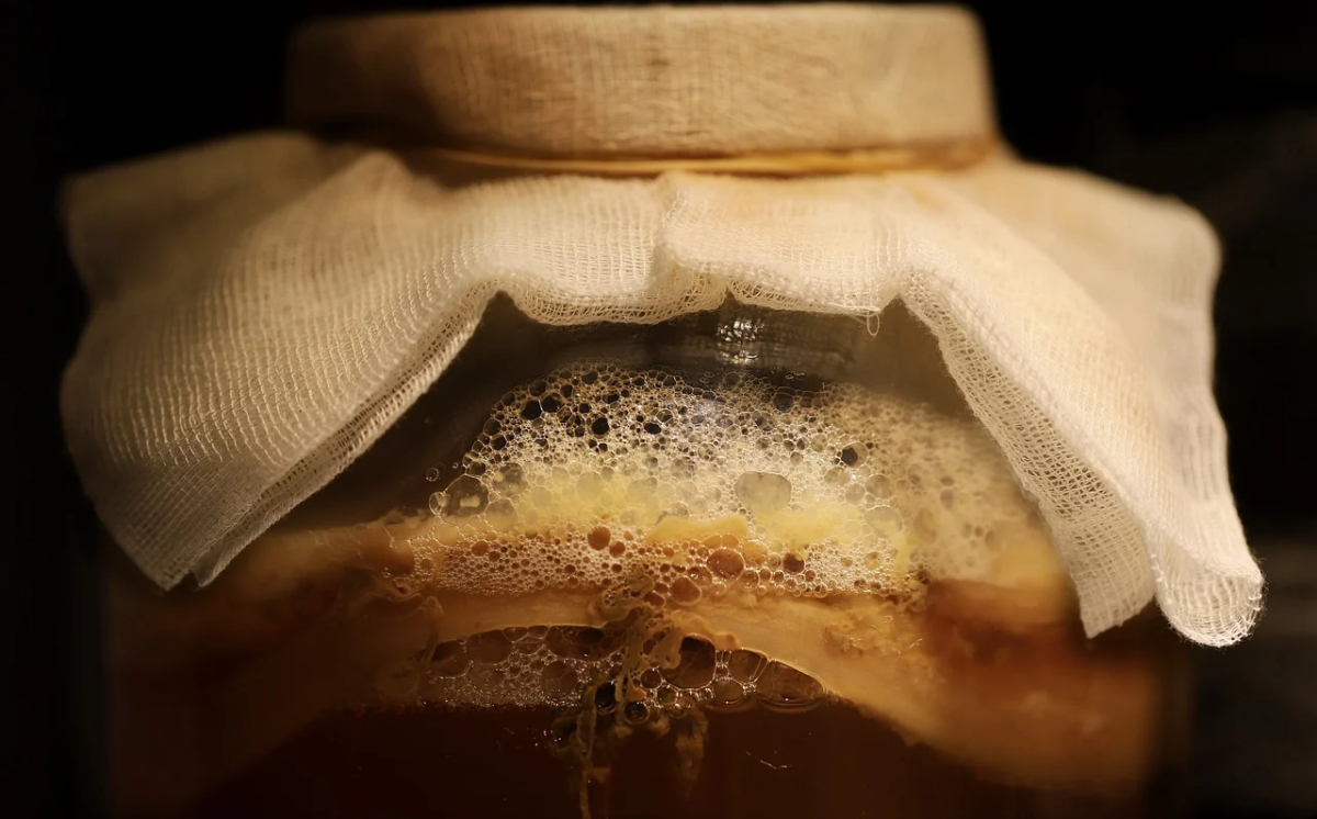 Misteri Kombucha, Minuman Fermentasi yang Menyegarkan!