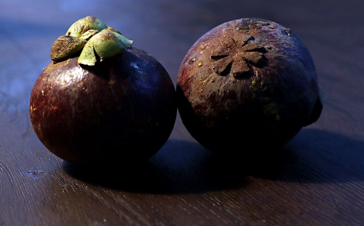 Buah Manggis, Ratu Buah yang Tak Bisa Jaga Rahasia