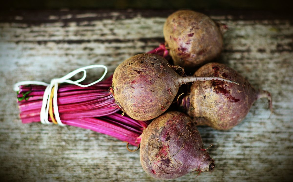 Buah Bit dengan Ragam Manfaatnya Bagi Tubuh!