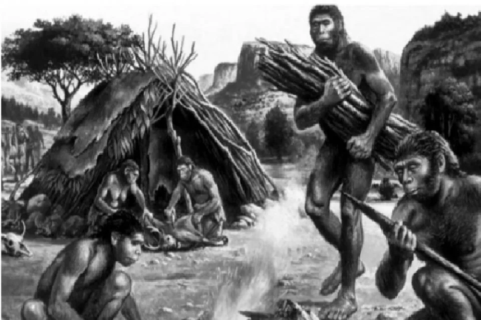 15 Ciri-Ciri Meganthropus Paleojavanicus Terlengkap