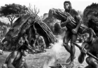 15 Ciri-Ciri Meganthropus Paleojavanicus Terlengkap