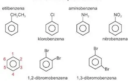 3 Contoh Senyawa Aromatik yang Wajib Diketahui