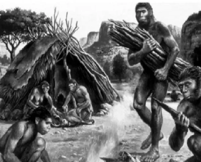 15 Ciri-Ciri Meganthropus Paleojavanicus Terlengkap