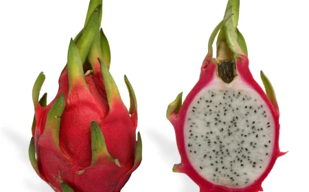 6 Manfaat Buah Naga untuk Ibu Hamil dan Perkembangan Janin